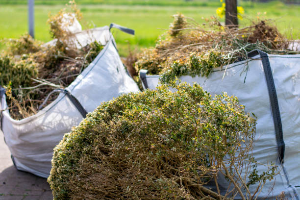 Trusted Kalaheo, HI Junk Removal Services Experts
